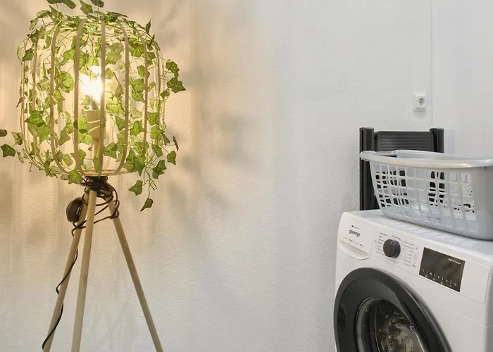 公寓 Jasta Homes Wohlfuehl-loft, Altstadt, Infrarot-sauna, Parkplatz, Netflix